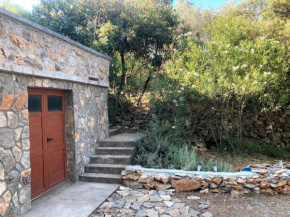 Secluded fisherman's cottage Zman, Dugi otok - 19000